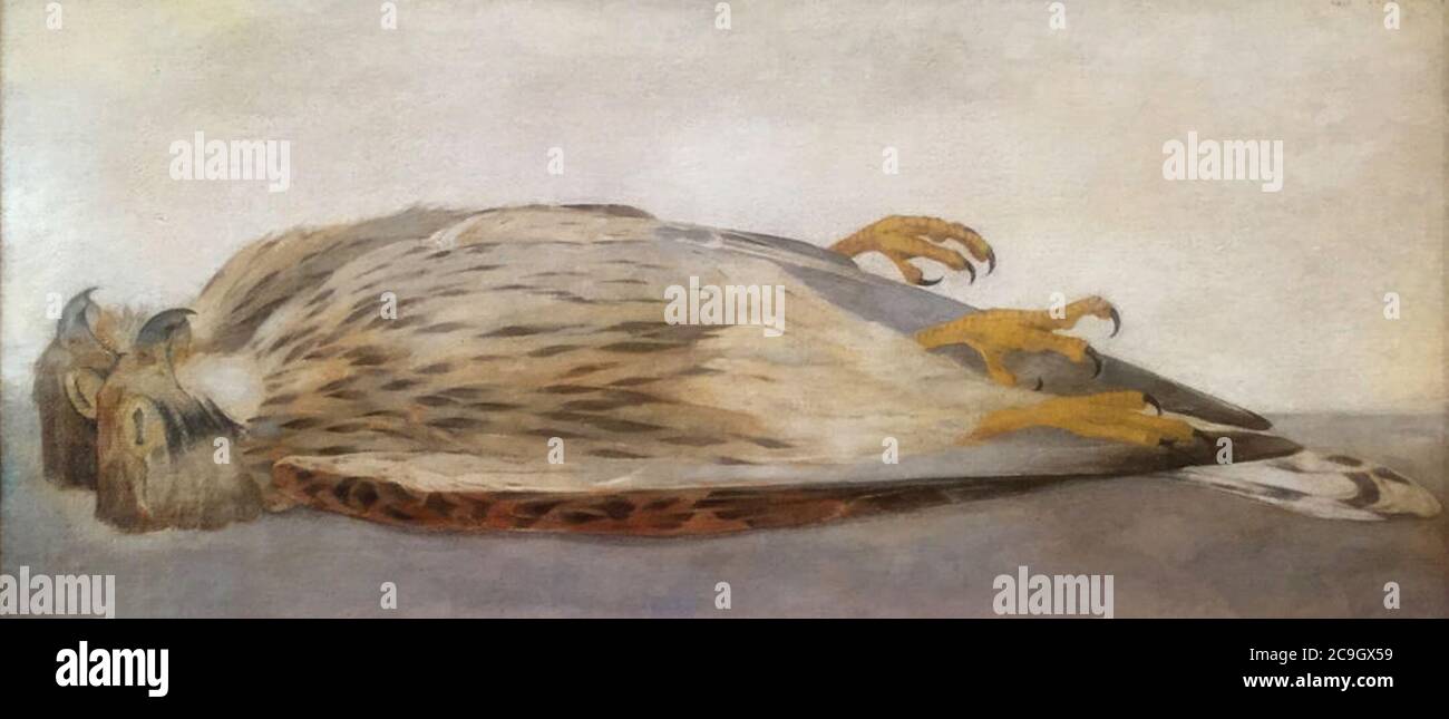 Jan Mankes, Twee dode torenvalken Stockfoto