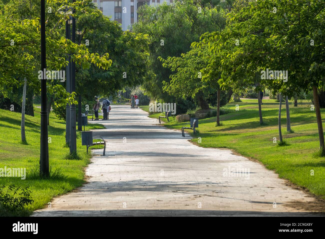 Gärten im alten trockenen Flussbett des Turia Flusses in Valencia, Fußgängerweg. Landschaft Freizeit-und Sportplatz mit Bäumen, Spanien Stockfoto