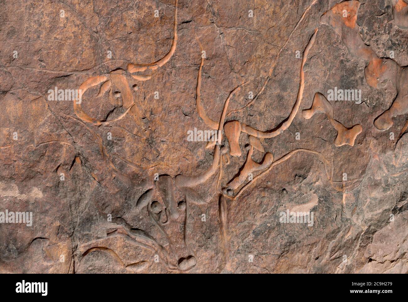 PRÄHISTORISCHE FELSKUNST UND GRAVUREN IN ALGERIEN, Tadrart Rouge und Tassili n’Ajjer in der SAHARA. Stockfoto