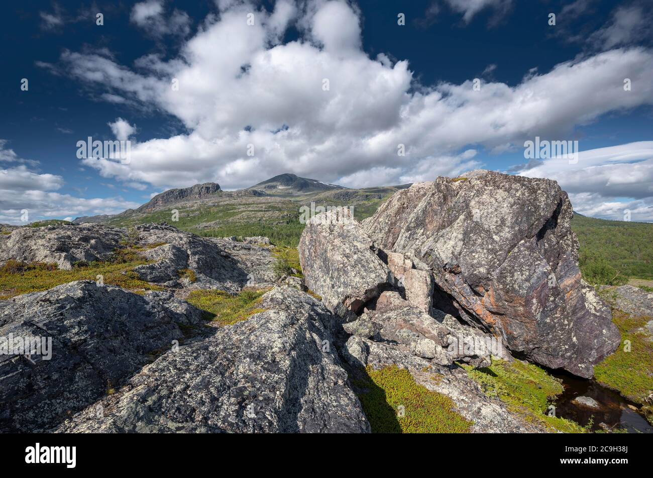 Felsenlandschaft, Fjäll in Laponia UNESCO-Schutzgebiet, Gaellivare, Norrbottens laen, Schweden Stockfoto