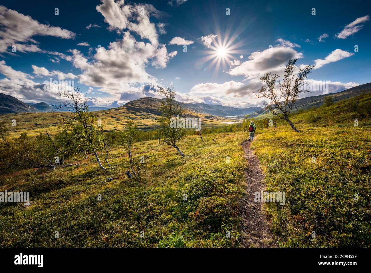 Weibliche Wanderer in der weiten Landschaft, Abisko Nationalpark, Bjoerkliden, Norrbottens laen, Schweden Stockfoto