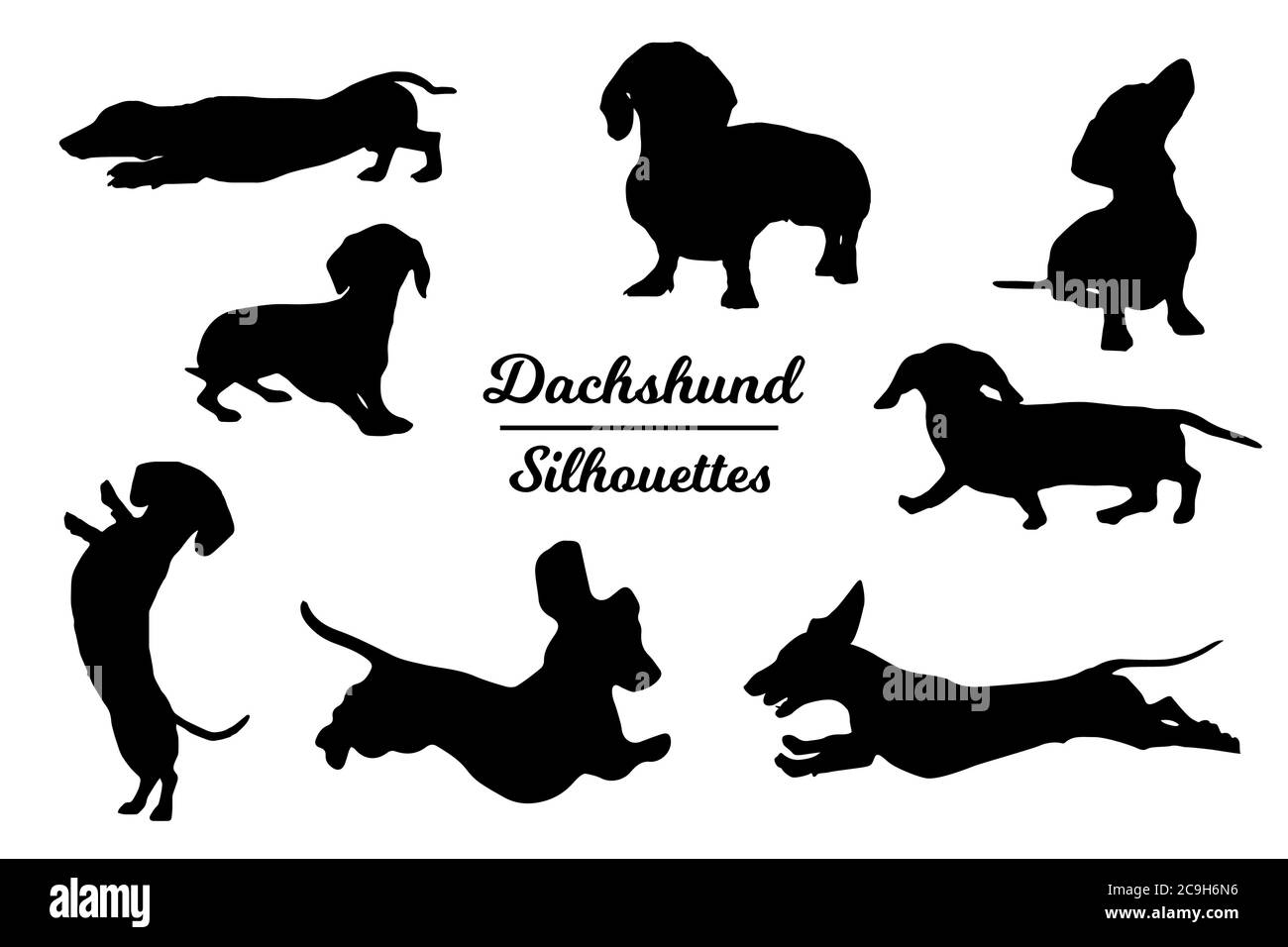Dachshund Hund Silhouetten. Schwarz-weiße Umrandung Stock-Vektorgrafik ...