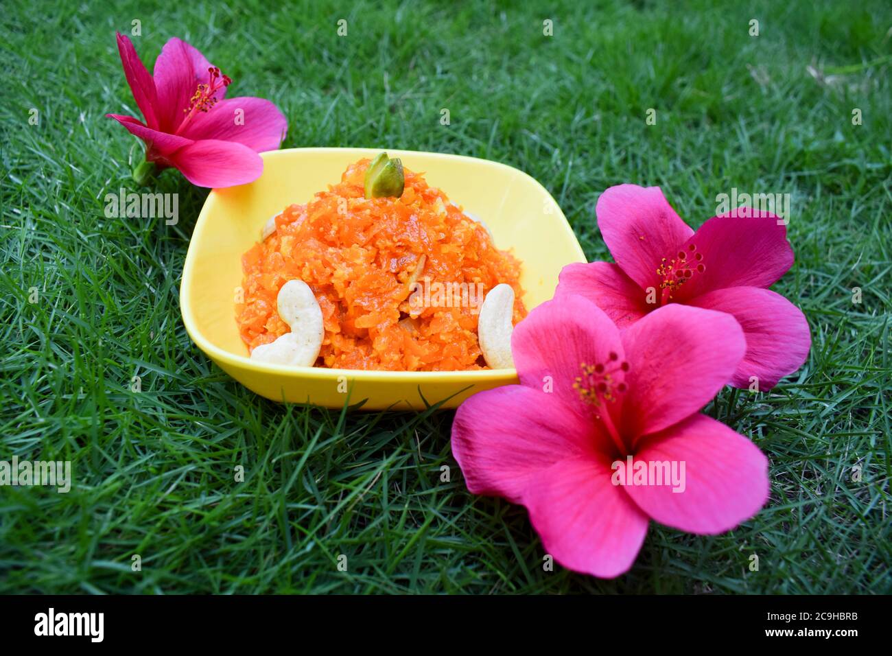 Gajar ka Halwa ist ein süßer Dessertpudding auf Karottenbasis in Indien und Pakistan. Garniert mit Cashewnüssen und Pistazien. Serviert in einer gelben Schüssel dekorat Stockfoto