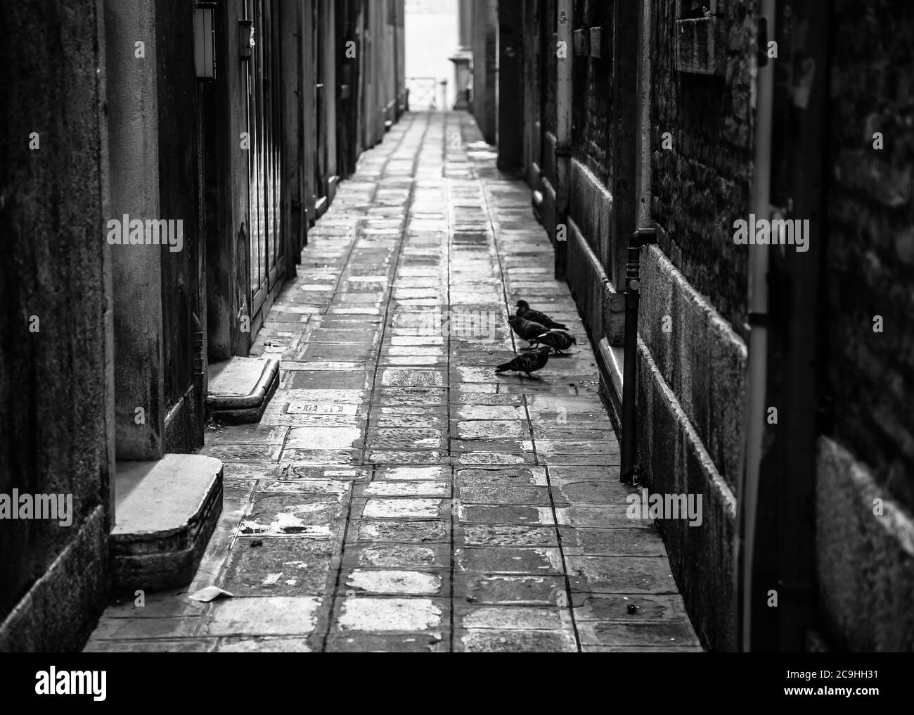 Leere Straße in Venedig, Italien Stockfoto