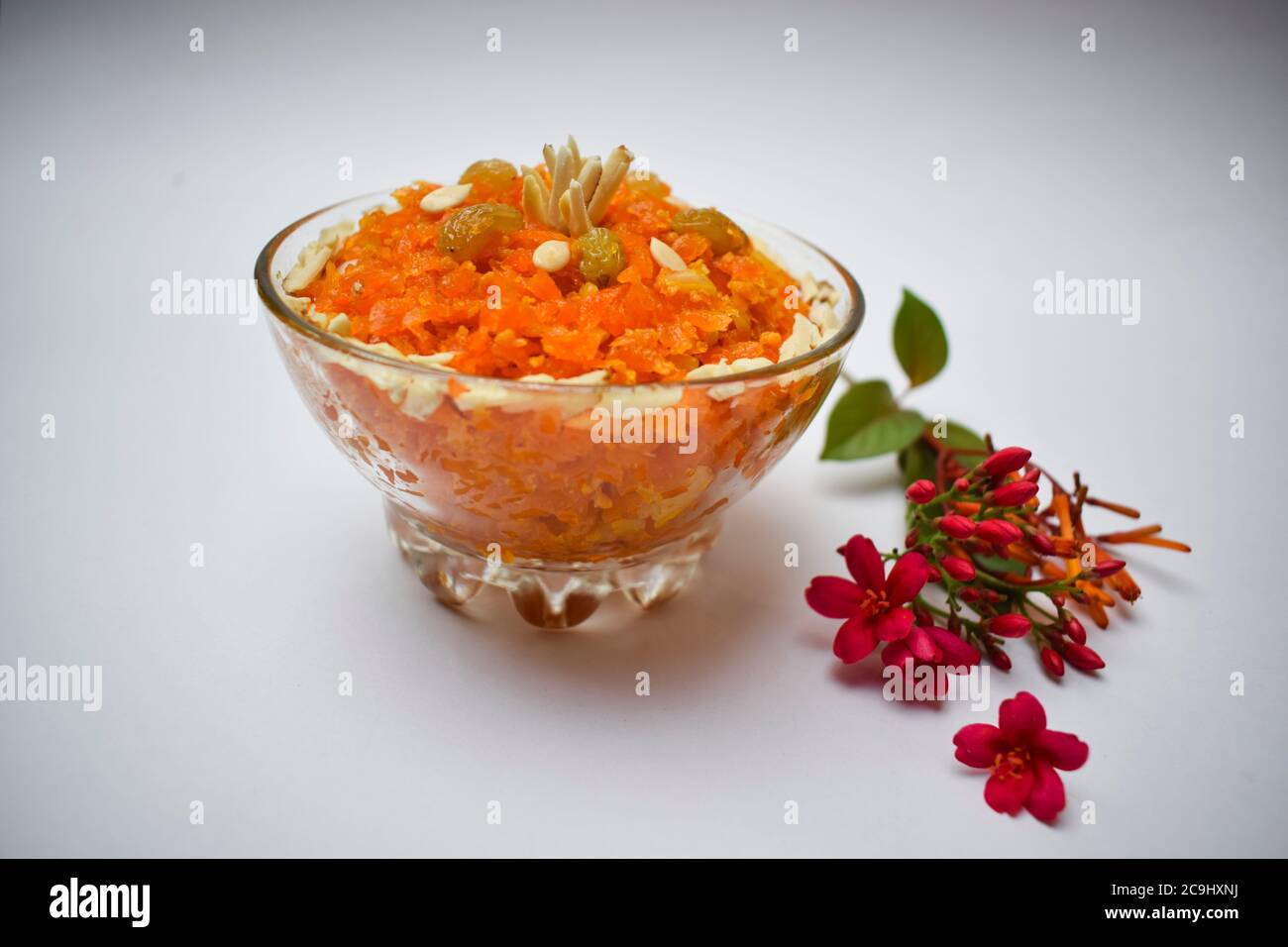 Seitenansicht von Karottenpudding bekannt als Gajar ka halwa ein beliebtes süßes Gericht aus Indien, Pakistan gegessen während Festivals, isoliert auf weißem Hintergrund wit Stockfoto