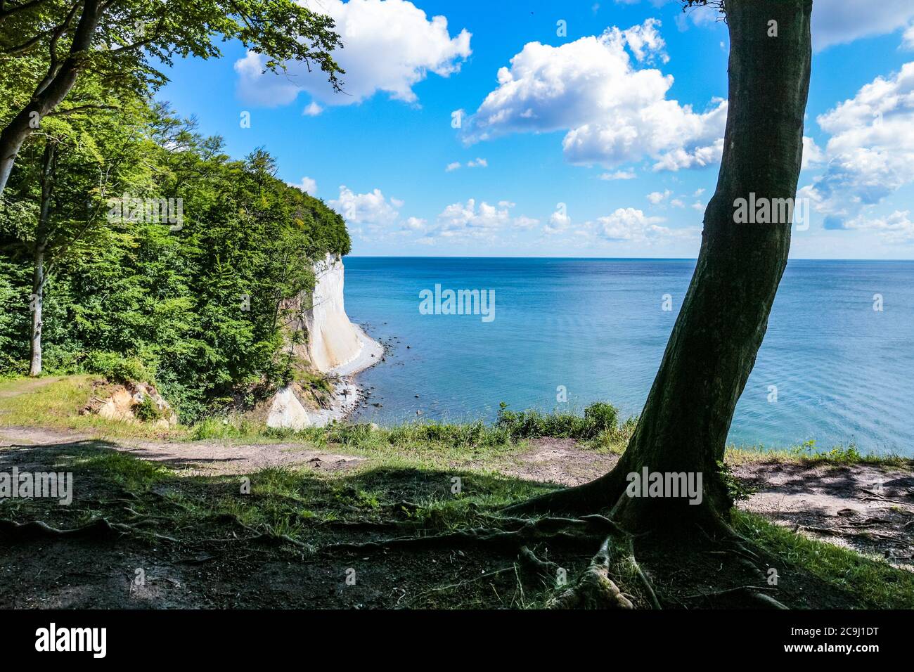 Panoramasicht auf die Kreidefelsen Rügens und die Ostseeküste ('Steilküste') vom Hochuferweg aus gesehen, Nationalpark Jasmund, Rügen, Deutschland. Stockfoto