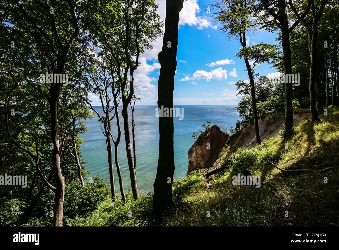 Panoramasicht auf die Kreidefelsen Rügens und die Ostseeküste ('Steilküste') vom Hochuferweg aus gesehen, Nationalpark Jasmund, Rügen, Deutschland. Stockfoto