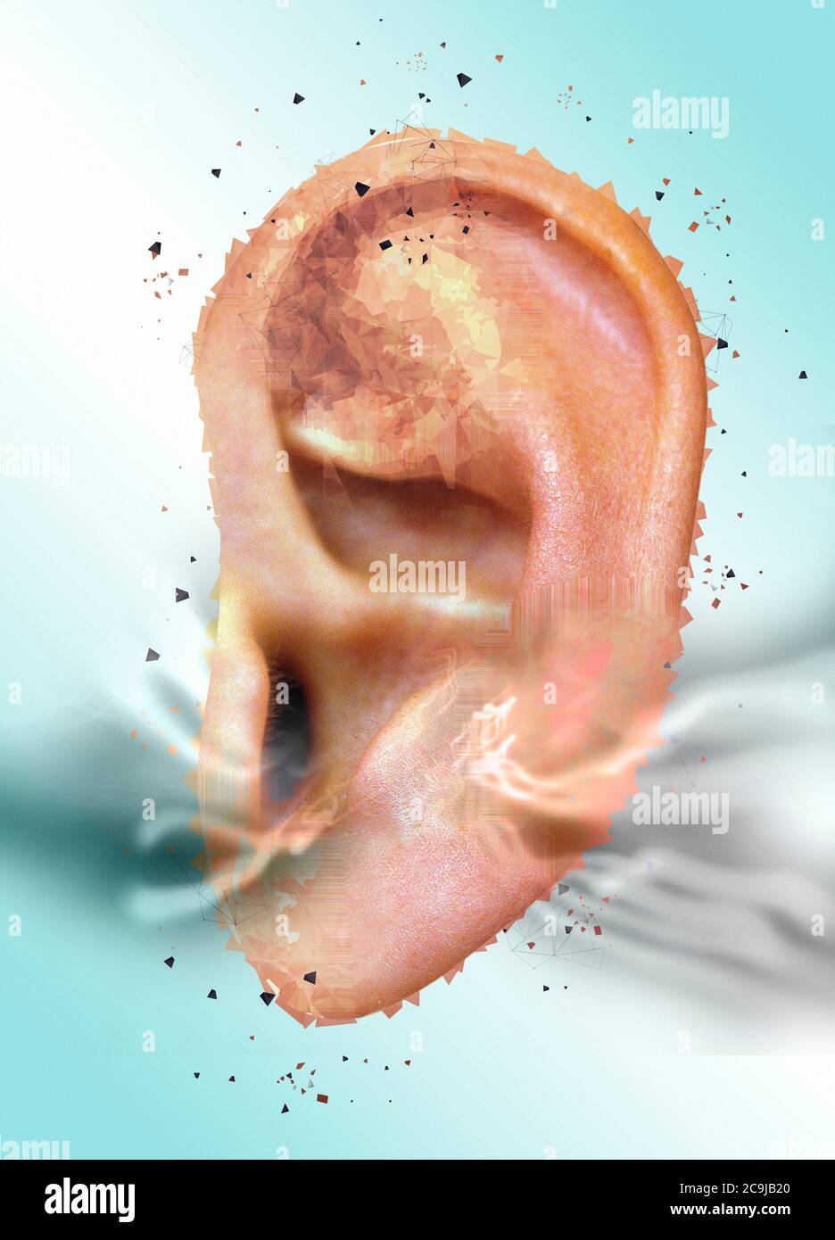 Menschliches Ohr, Illustration. Stockfoto