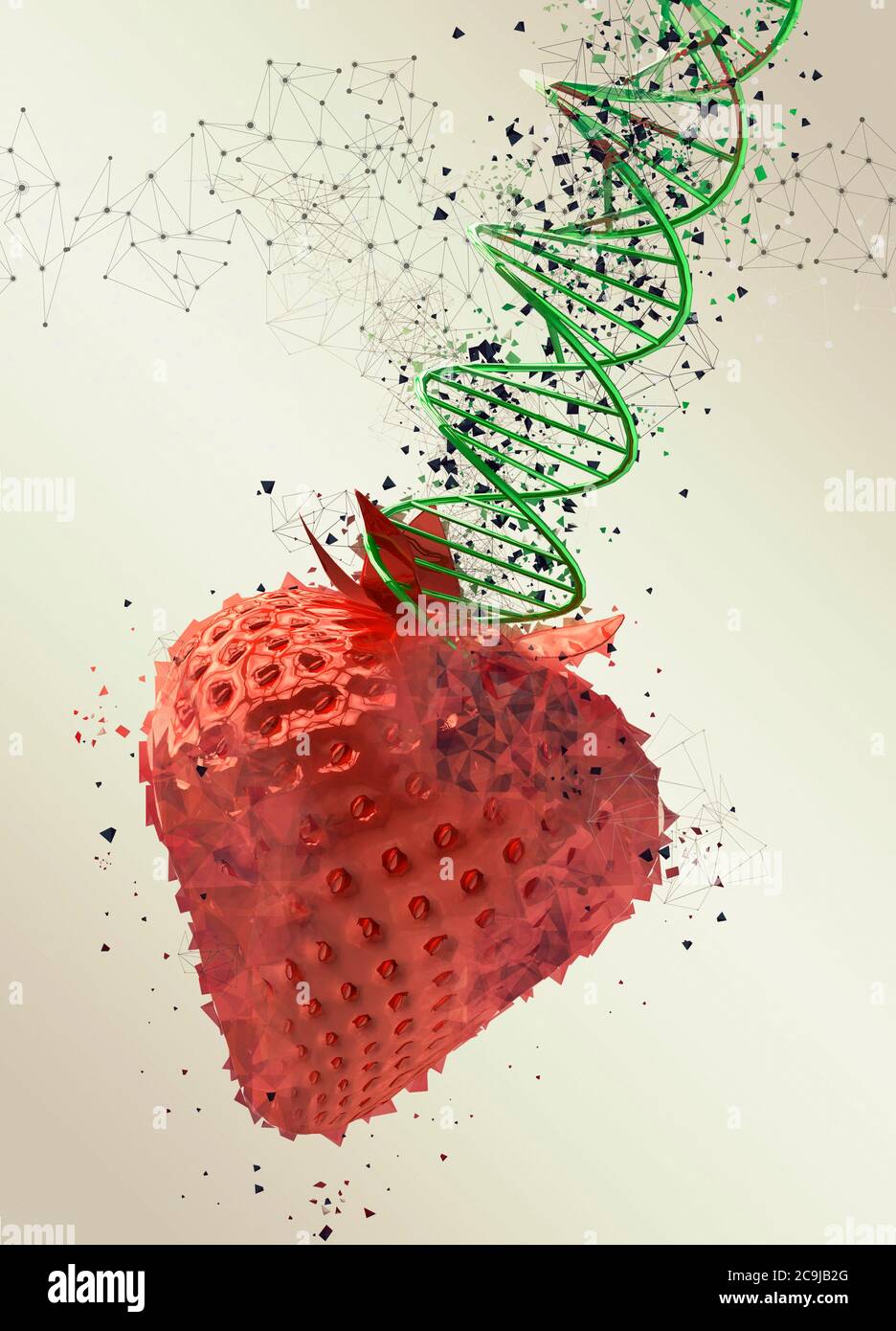 Genetisch veränderte Erdbeere, Illustration. Stockfoto