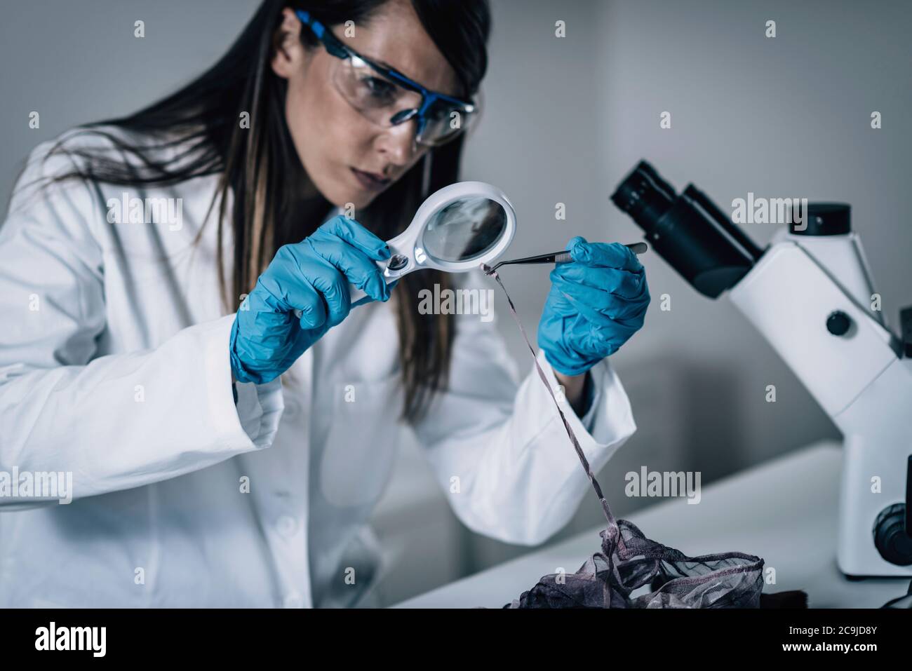 Forensische Wissenschaft im Labor. Forensischer Wissenschaftler, der Textilien auf Blutsnachweise untersucht. Stockfoto