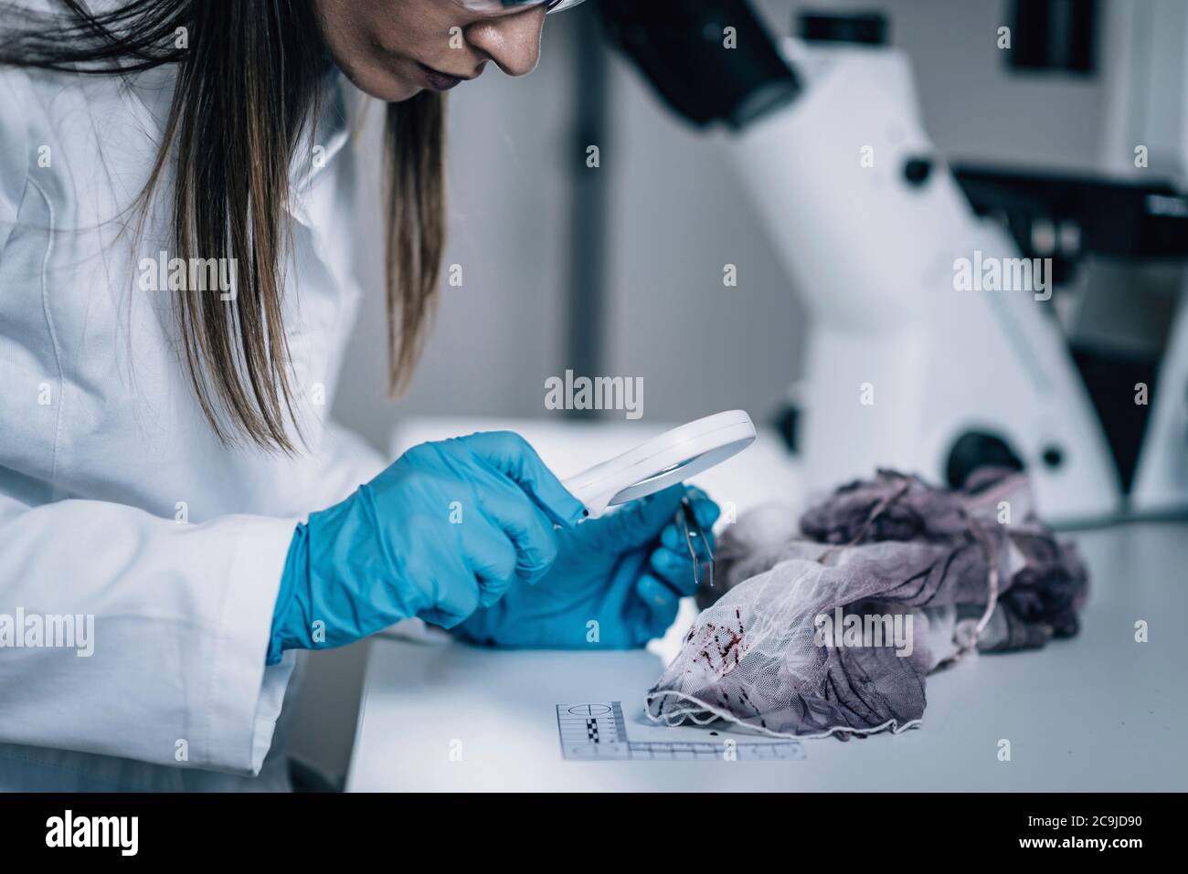 Forensische Wissenschaft im Labor. Forensischer Wissenschaftler, der Textilien auf Blutsnachweise untersucht. Stockfoto