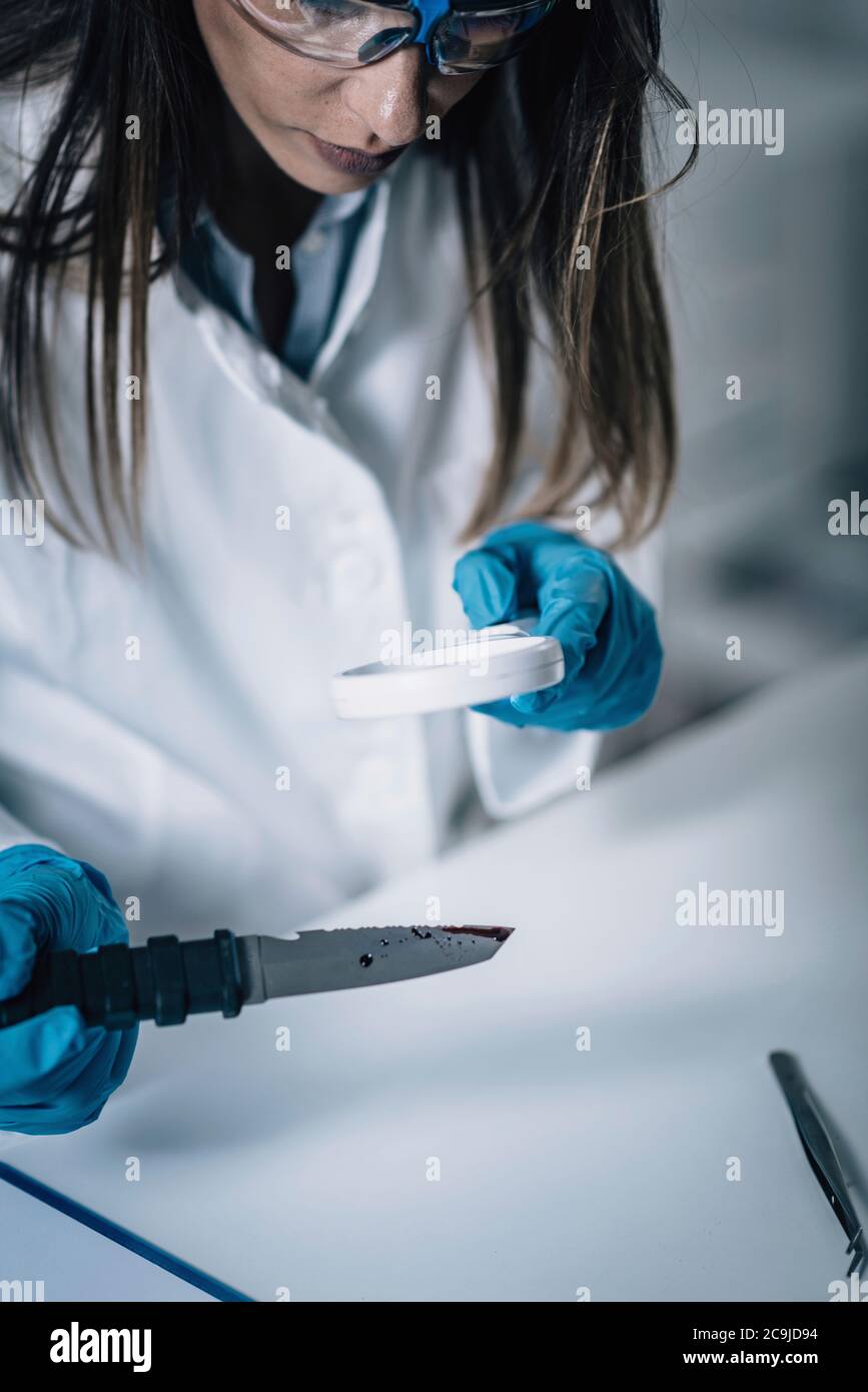 Forensische Wissenschaft im Labor. Forensischer Wissenschaftler, der Messer auf Blutsachweise untersucht. Stockfoto