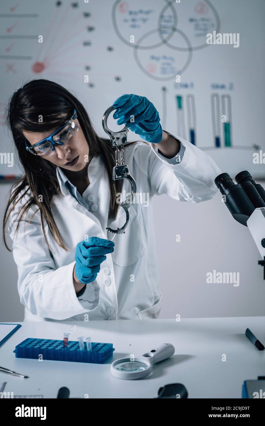 Forensische Wissenschaft im Labor. Forensischer Wissenschaftler, der Handschellen auf Beweise untersucht. Stockfoto