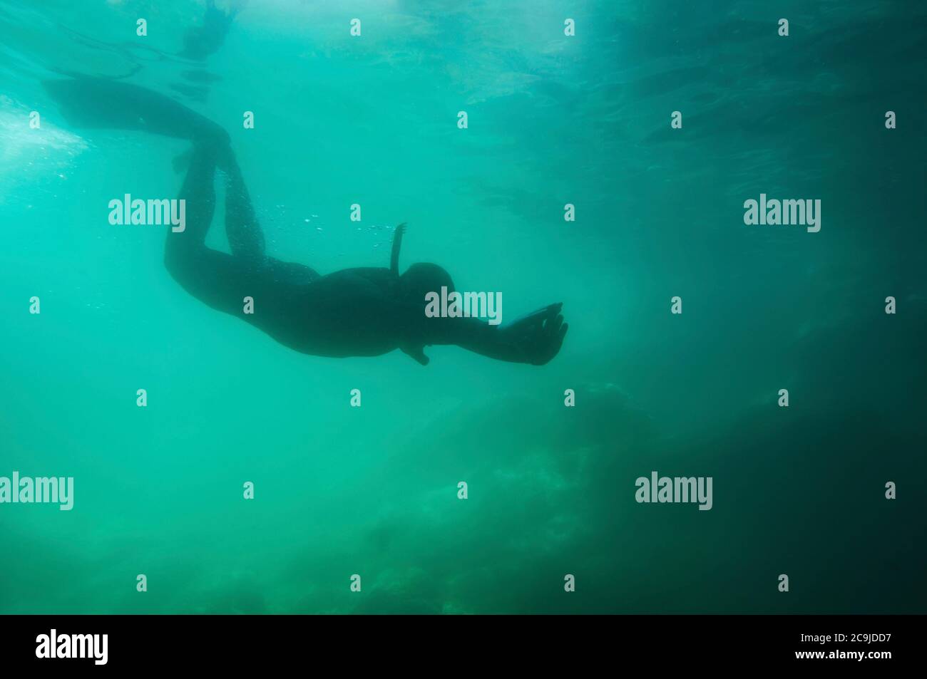 Silhouette eines Freitauchers, der ins trübe Wasser eindringt. Stockfoto