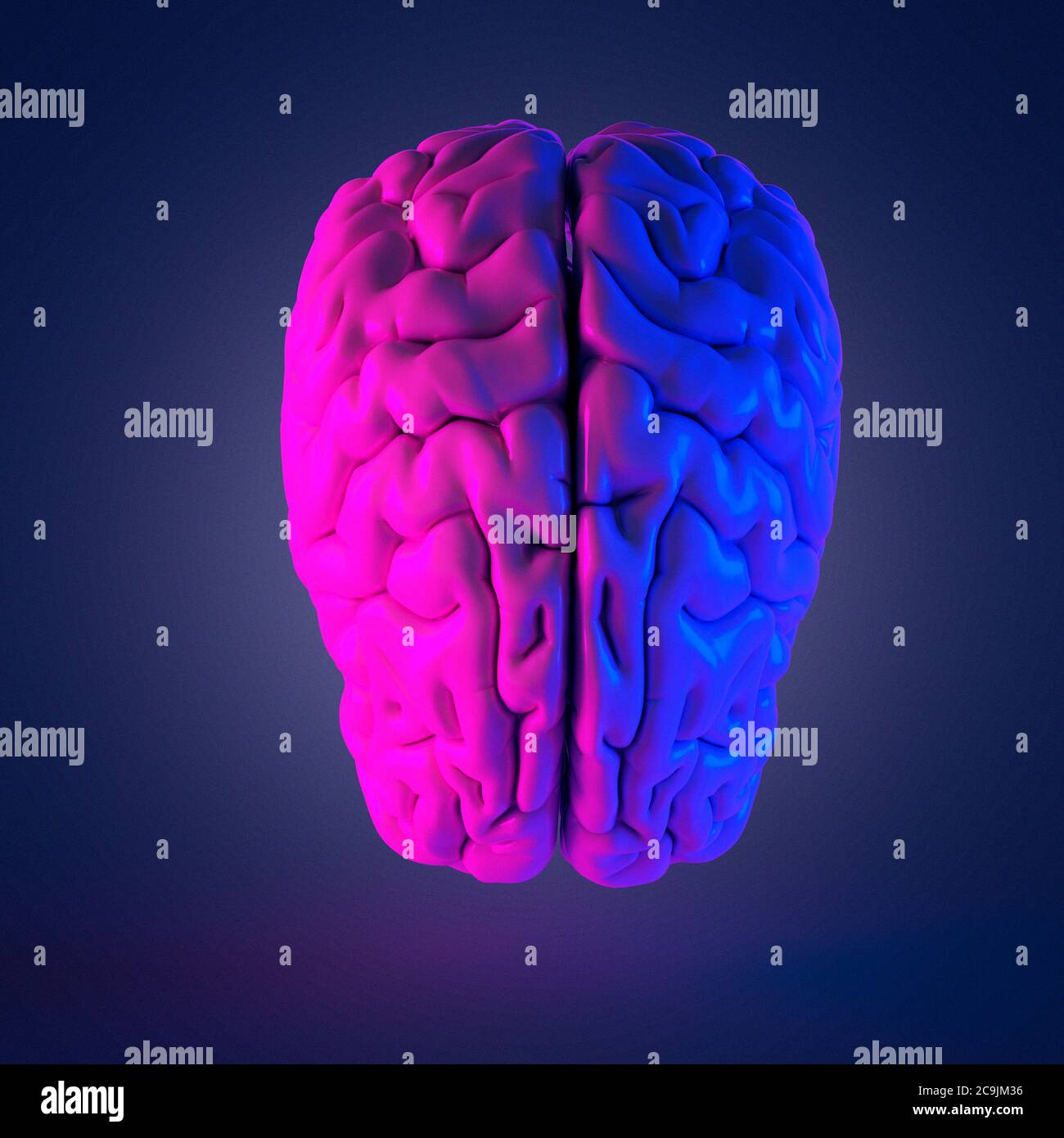 Menschliche Gehirn, Computer Bild Stockfotografie - Alamy