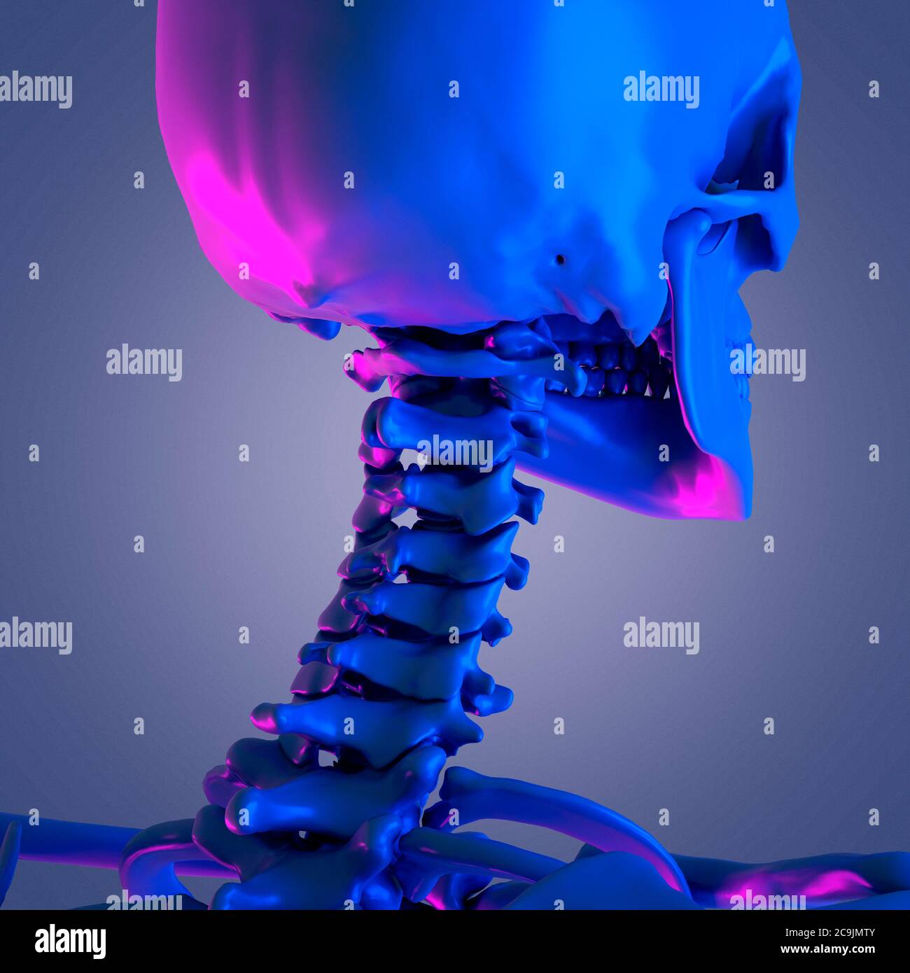 Halswirbelsäule, Computer Bild. Stockfoto