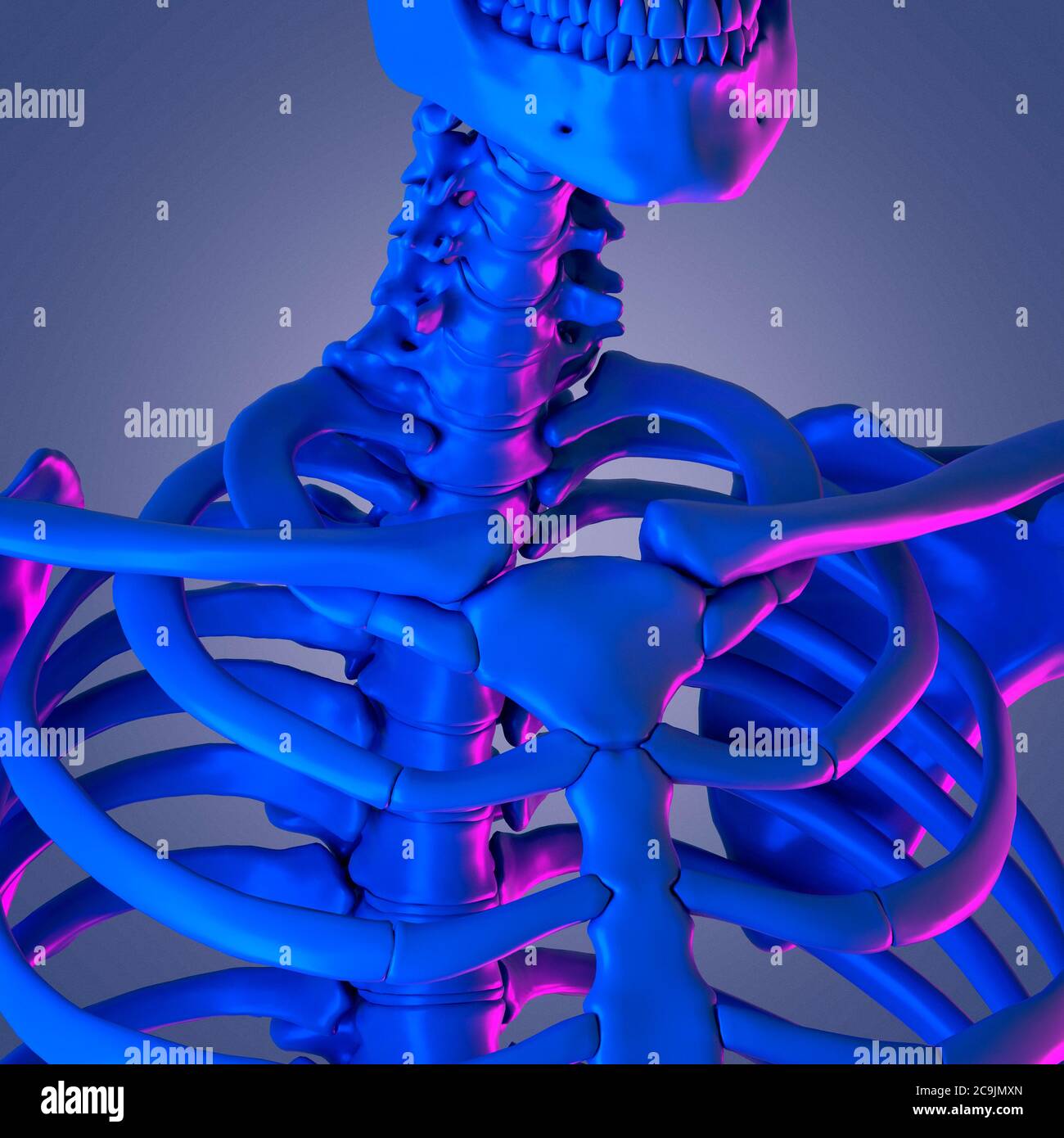 Halswirbelsäule, Computer Bild. Stockfoto