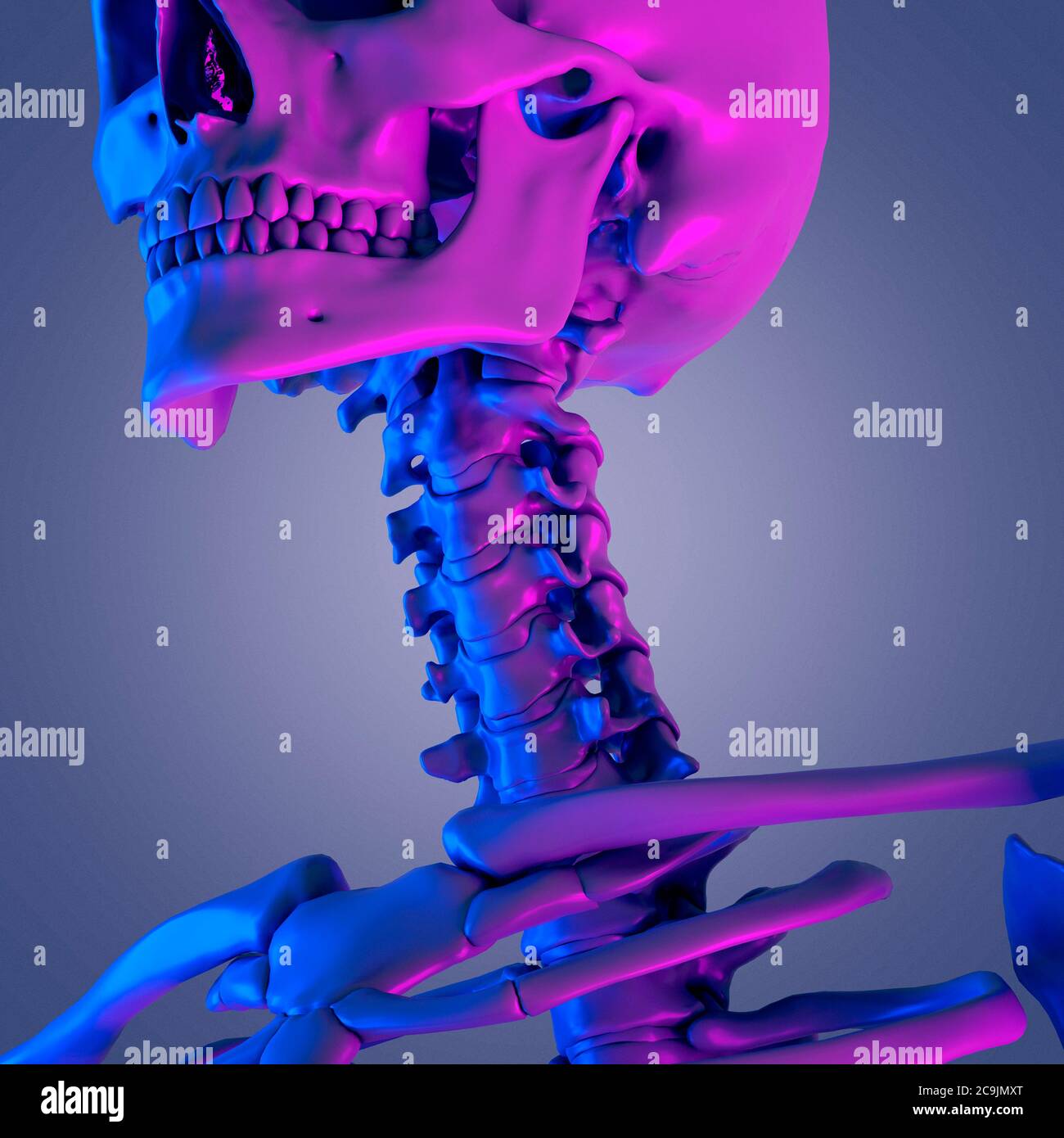 Halswirbelsäule, Computer Bild. Stockfoto