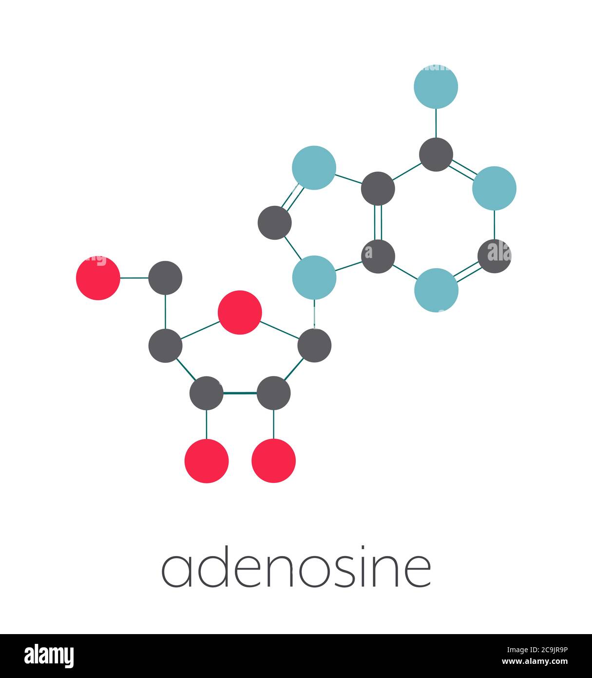 Adenosin (ADO)-Purin-Nukleosid-Molekül. Wichtiger Bestandteil von ATP, ADP,  Camp und RNA. Auch als Medikament verwendet. Stilisierte Skelettformel  (chemische stru Stockfotografie - Alamy