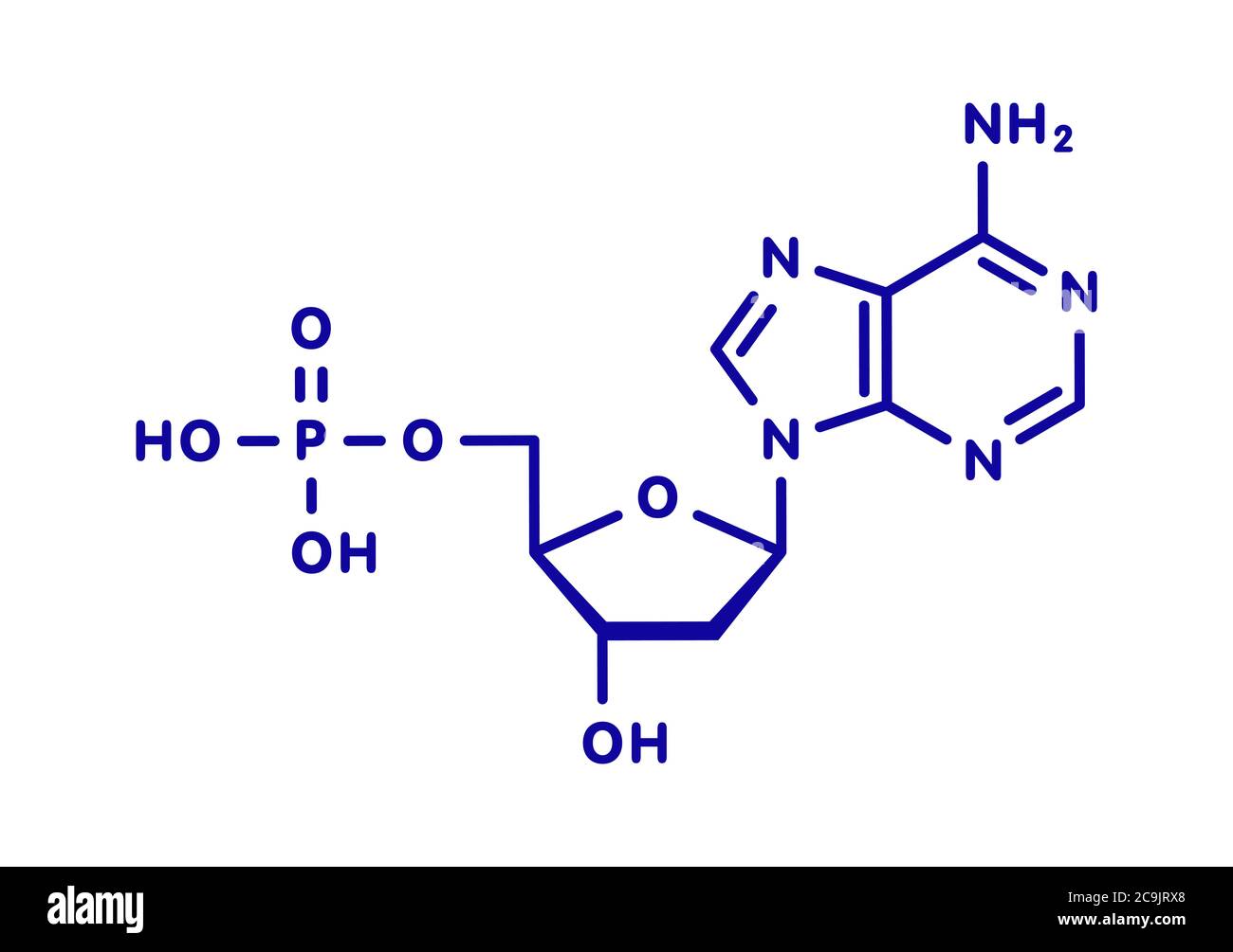 Desoxyadenosin-Monophosphat (feuchtes) Nukleotidmolekül. DNA-Baustein. Blaue Skelettformel auf weißem Hintergrund. Stockfoto