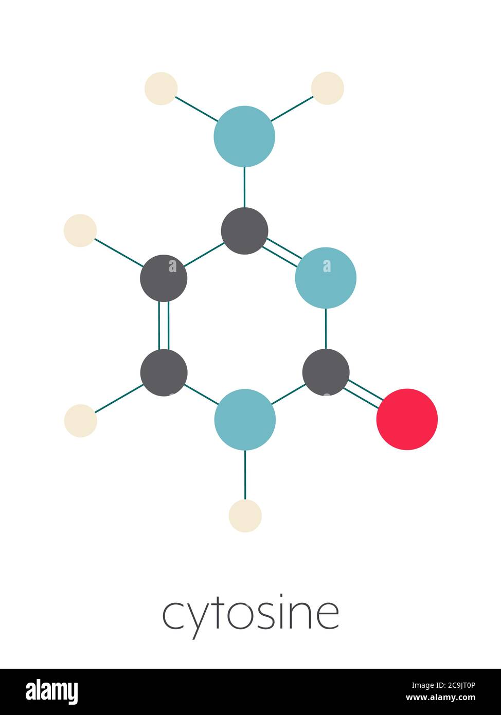 Cytosin-Pyrimidin-Nukleobase-Komponente. Eine der Basen in DNA und RNA gefunden. Stilisierte Skelettformel (chemische Struktur). Atome werden als CO dargestellt Stockfoto