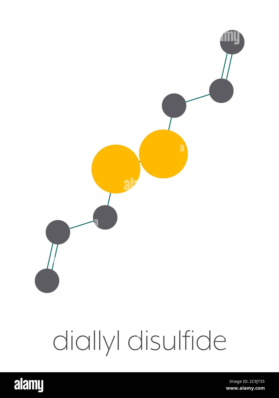 Diallyldisulfid Knoblauchmolekül. Eine der Verbindungen, die für Geschmack, Geruch und gesundheitliche Auswirkungen von Knoblauch verantwortlich sind. Stilisierte Skelettformel (chemisch Stockfoto