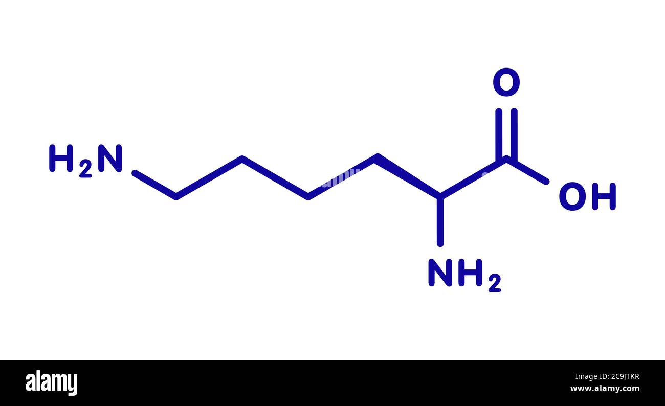 Lysin (L-Lysin, Lys, K) Aminosäuremolekül. Blaue Skelettformel auf weißem Hintergrund. Stockfoto