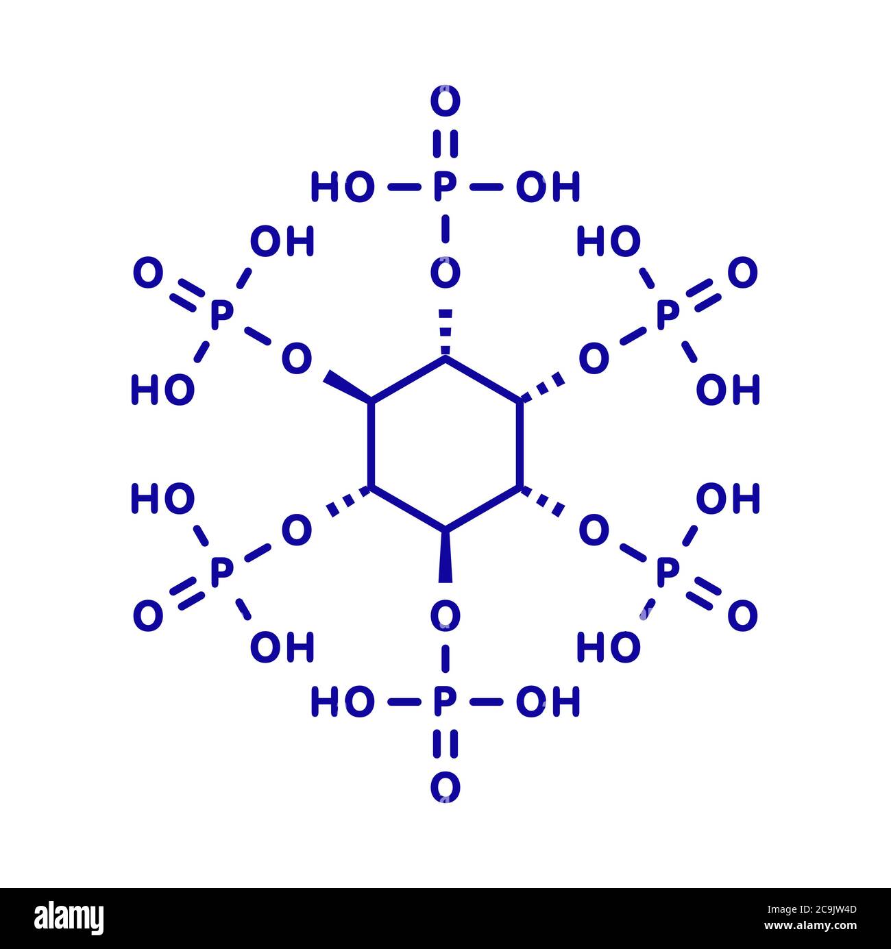 Phytsäure (Hexakisphosphat, IP6, Phytat) Molekül. Vorhanden in Samen und Körnern vieler Pflanzen, die als Speicherform von Phosphor. Blauer Skelett Stockfoto