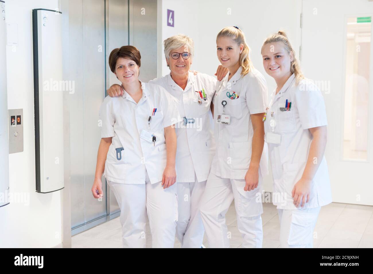 Team von Krankenschwestern, Portrait. Stockfoto