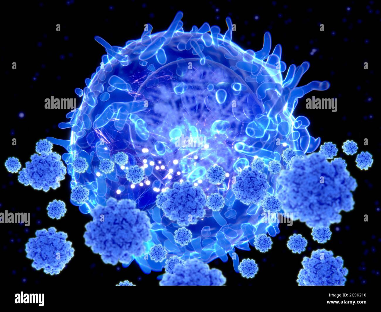 Illustration einer T-Lymphozyte oder T-Zell, weiße Blutkörperchen, die auf SARS-CoV-2 Coronavirus-Partikel abzielen. T-Lymphozyten sind Bestandteile des körpereigenen im Stockfoto