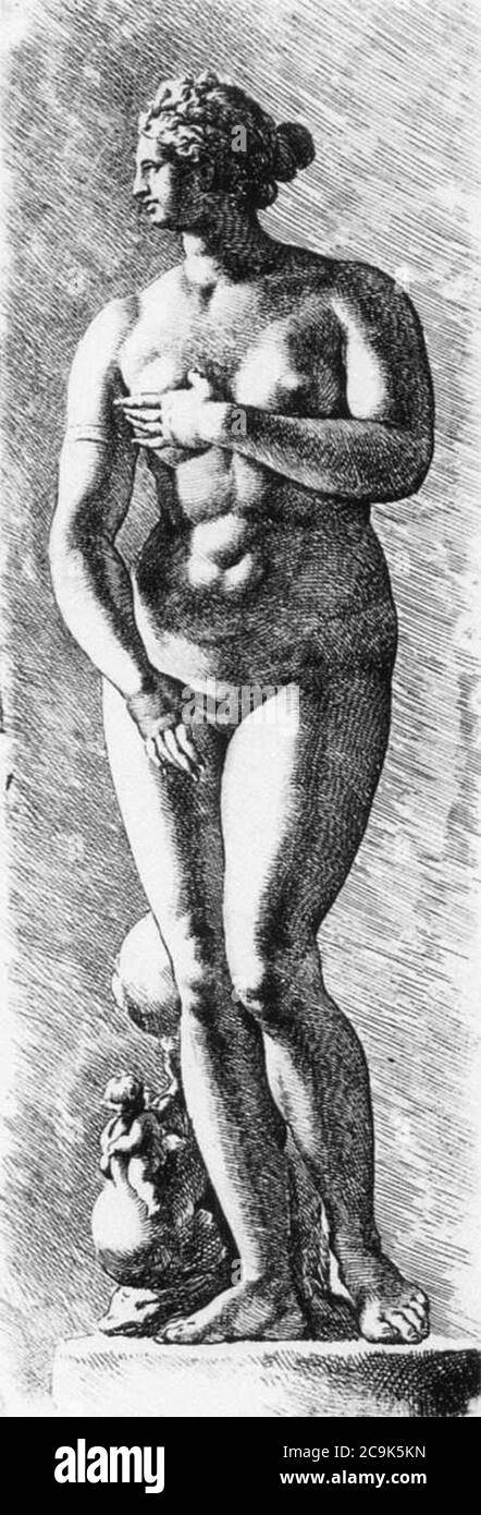 Jan de Bisschop - die Medici Venus Stockfoto