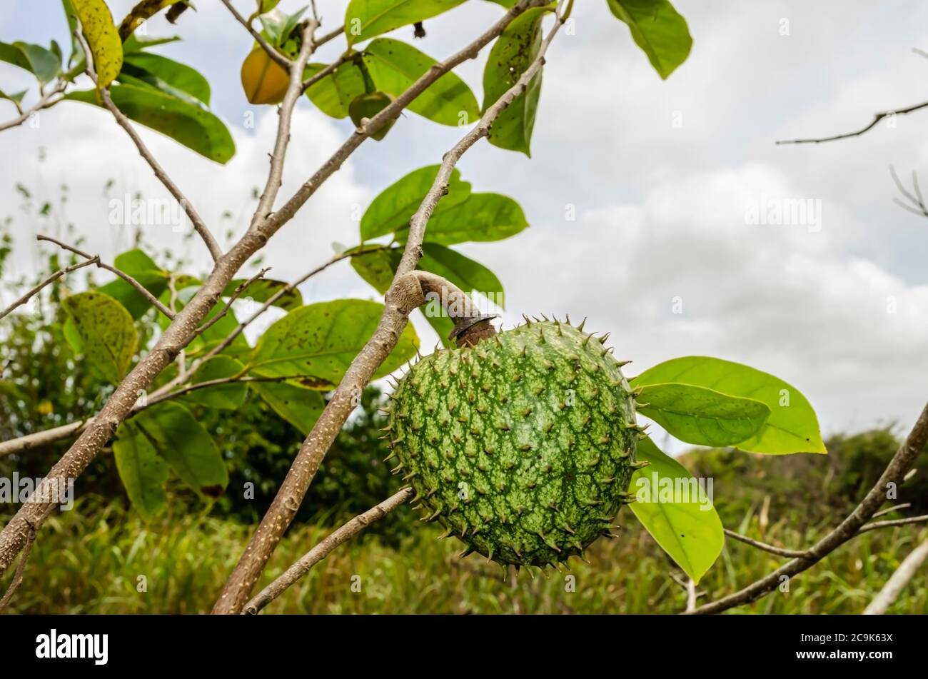 Berg sop -Fotos und -Bildmaterial in hoher Auflösung – Alamy