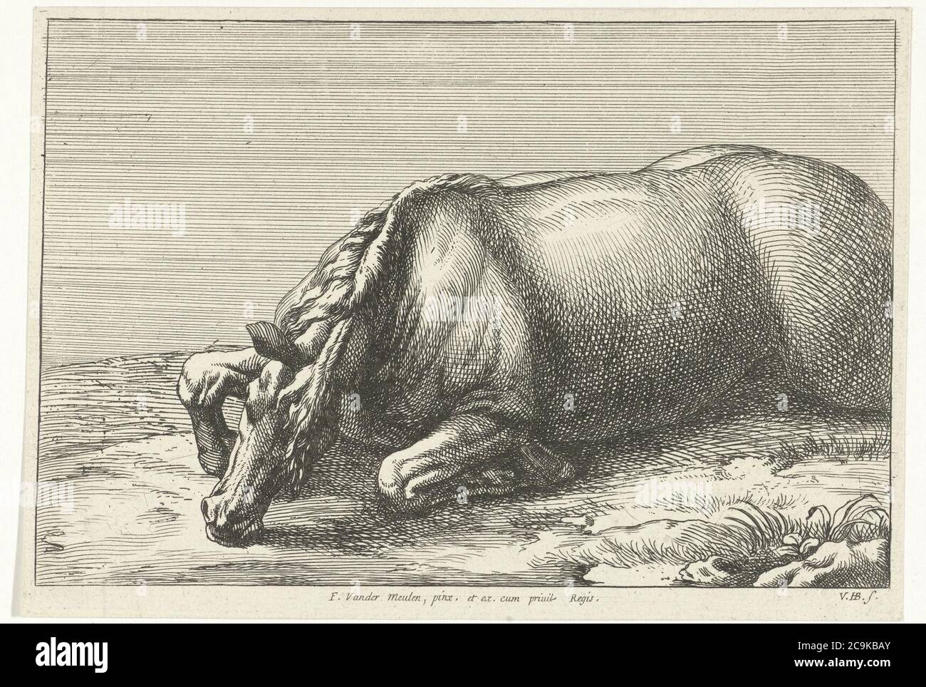 Jan van Huchtenburg, Adam Frans van der Meulen - Getötete Pferde von links gesehen. Stockfoto