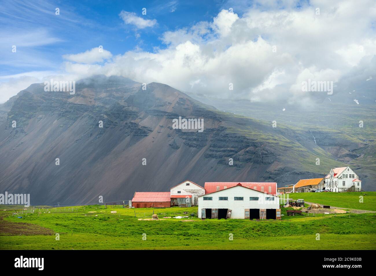 Viele weiße Gebäude und rote Dächer sind Fabriken und Weiden. In der Landschaft Islands wird es im Sommer grünes Gras geben. Stockfoto