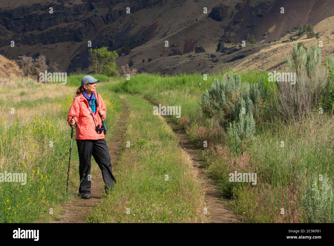 Wandern in John Day Wild und Scenic River Canyon, Thirtymile Creek Gegend, Prineville District Bureau of Land Management, Oregon Stockfoto