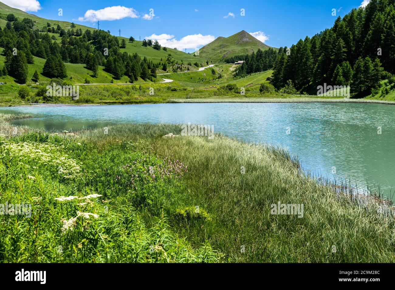 Kleiner Alpensee in der Nähe von Col de Vars auf den französischen Alpen Stockfoto