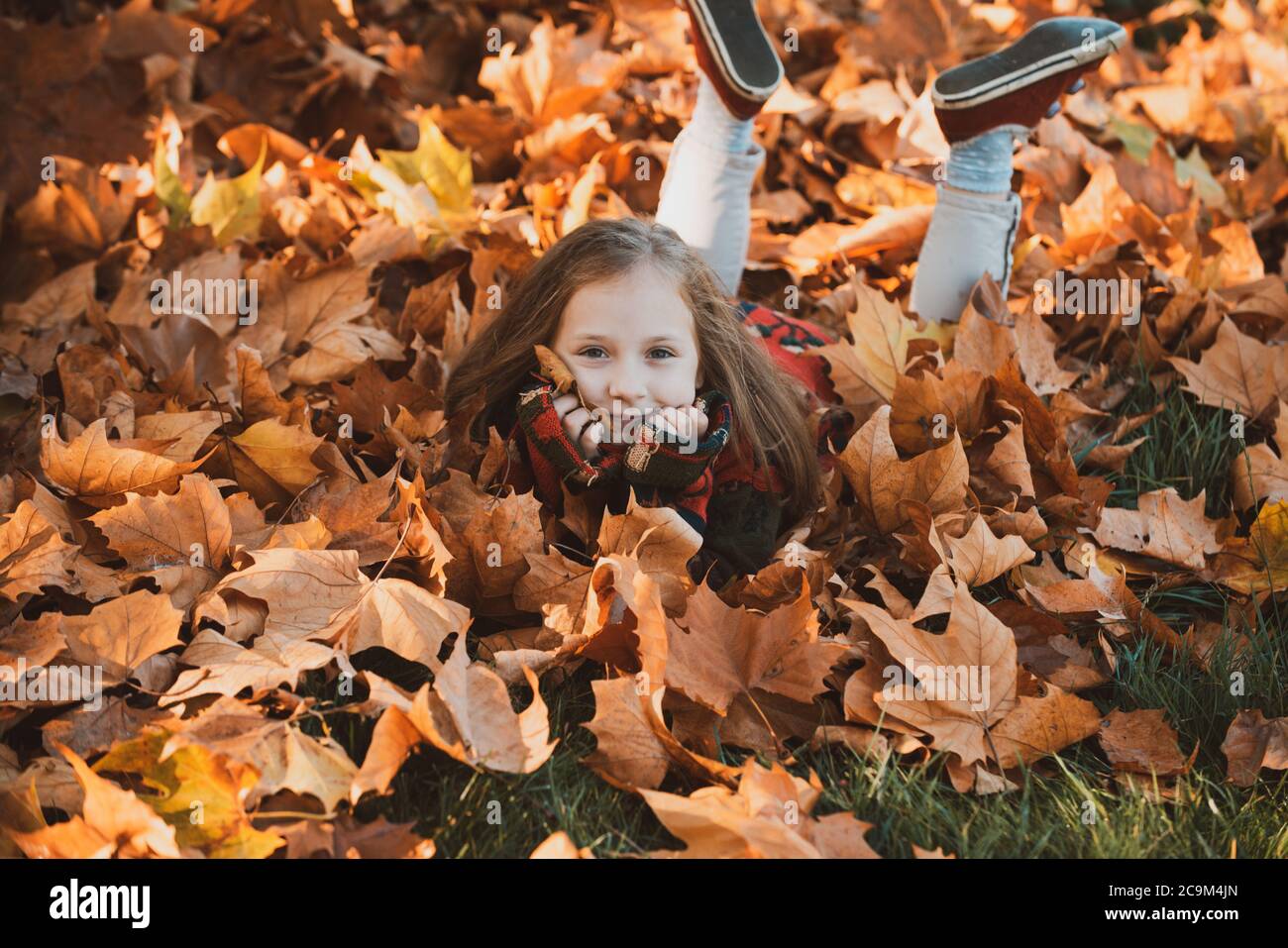 Nettes kleines Mädchen im Herbst Park. Kleines Mädchen in Blättern. Glückliches Kind lachend und spielend Blätter im Herbst im Freien. Schöne glücklich Mädchen Spaß in Stockfoto