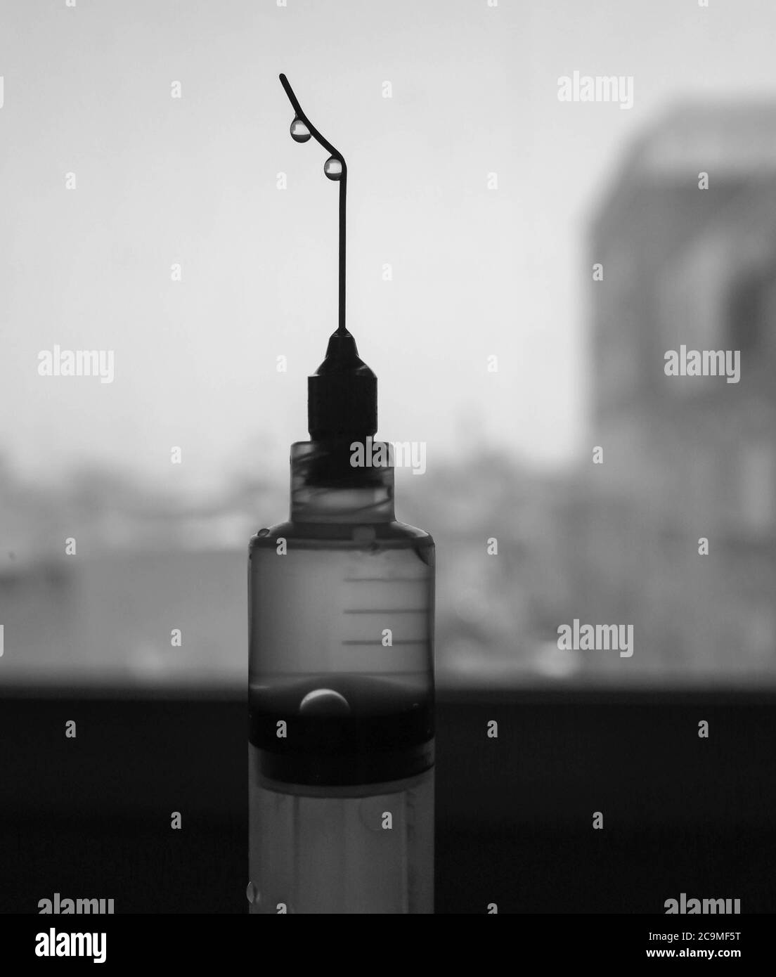 Makrofoto des Wassertropfens auf der Nadelspitze Stockfoto