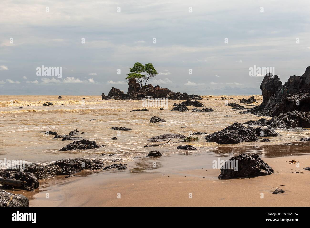 Afrikas Goldküste mit gelbem Meer und einer Insel mit schwarzen Felsen, wo ein Baum wächst in rauen Bedingungen, der Ort befindet sich in Ghana Westafrika Stockfoto