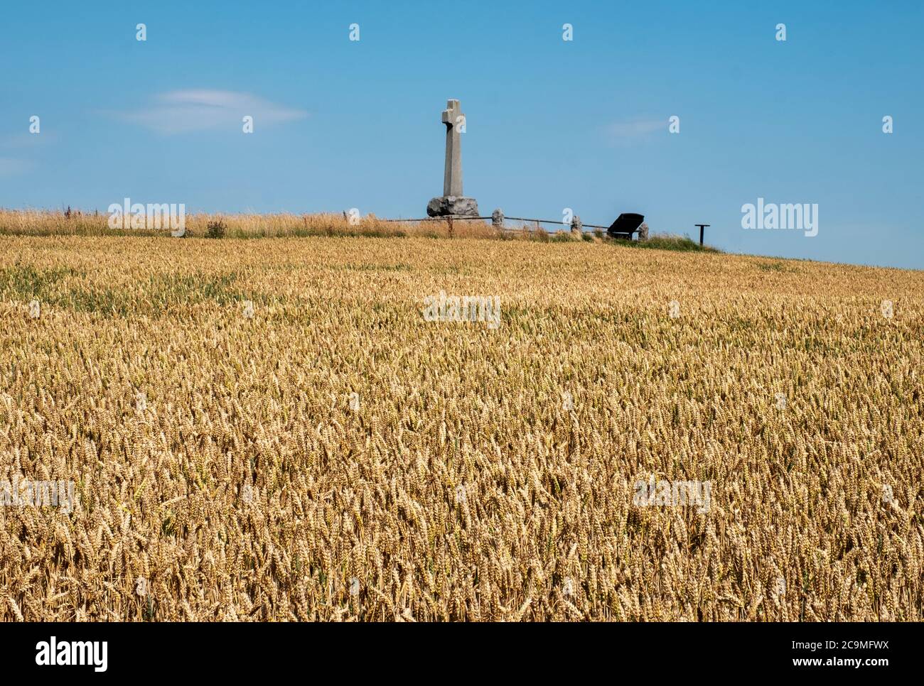 Granitsteinkreuz auf Branxton Hill, Northumberland zum Gedenken an die Gefallenen bei der Schlacht von Flodden Field am 9. September 1513. Stockfoto