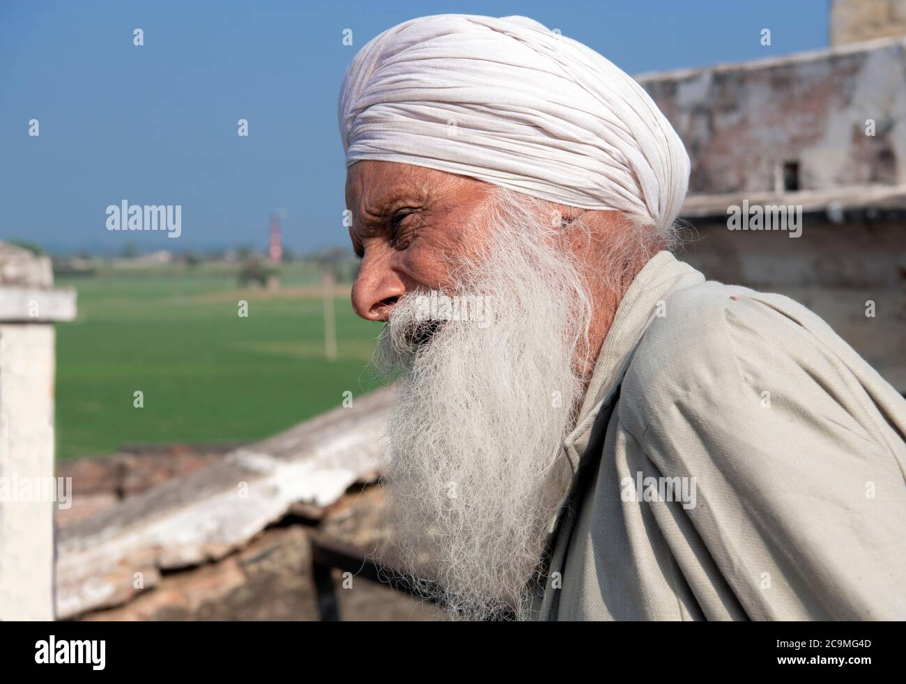 Weißer bärtiger sikh Bauer Fatehgarh Channa Punjab Indien Stockfoto