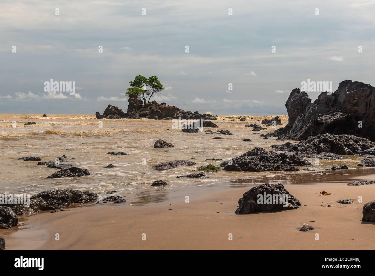 Afrikas Goldküste mit gelbem Meer und einer Insel mit schwarzen Felsen, wo ein Baum wächst in rauen Bedingungen, der Ort befindet sich in Ghana Westafrika Stockfoto