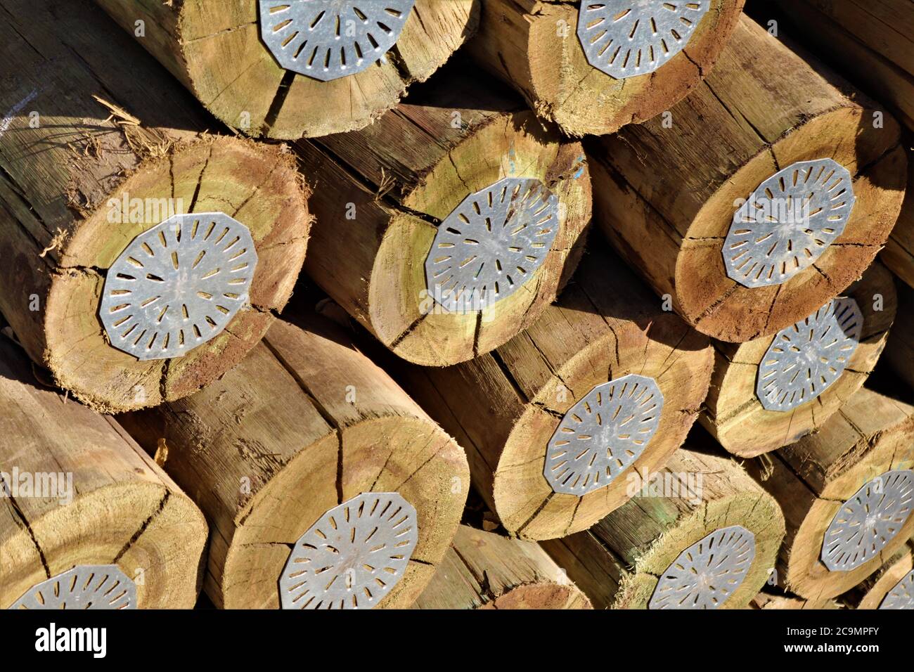 Holzpfähle behandelt mit (CCA) Dies ist ein Holzkonservierungsmittel, das Kupfer, Chrom und Arsen enthält. Stockfoto