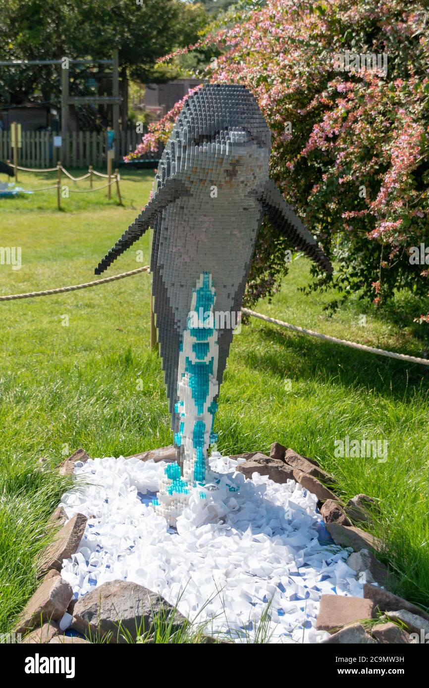 Bristol-August-2020-England- EIN aus lego gemachter Delphins, der im Bristol Zoo ausgestellt ist Stockfoto