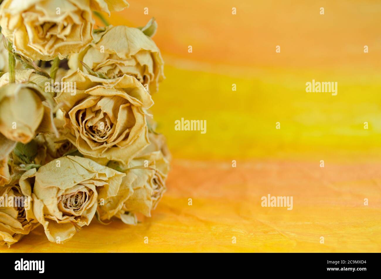 Getrocknetes Bouquet mit bunten Rosen. Getrocknete Blumen Rosen Stockfoto