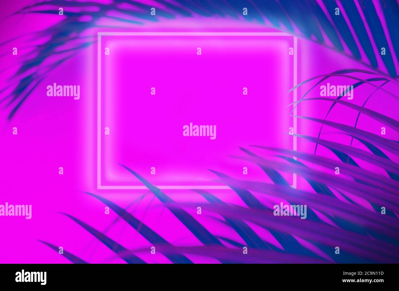 Kreativer Hintergrund von Neon-Palmblättern und leuchtenden Quadrat. Sommerkonzept „Jungle“. Unscharfe Fotos mit Unschärfe-Unschärfe Stockfoto