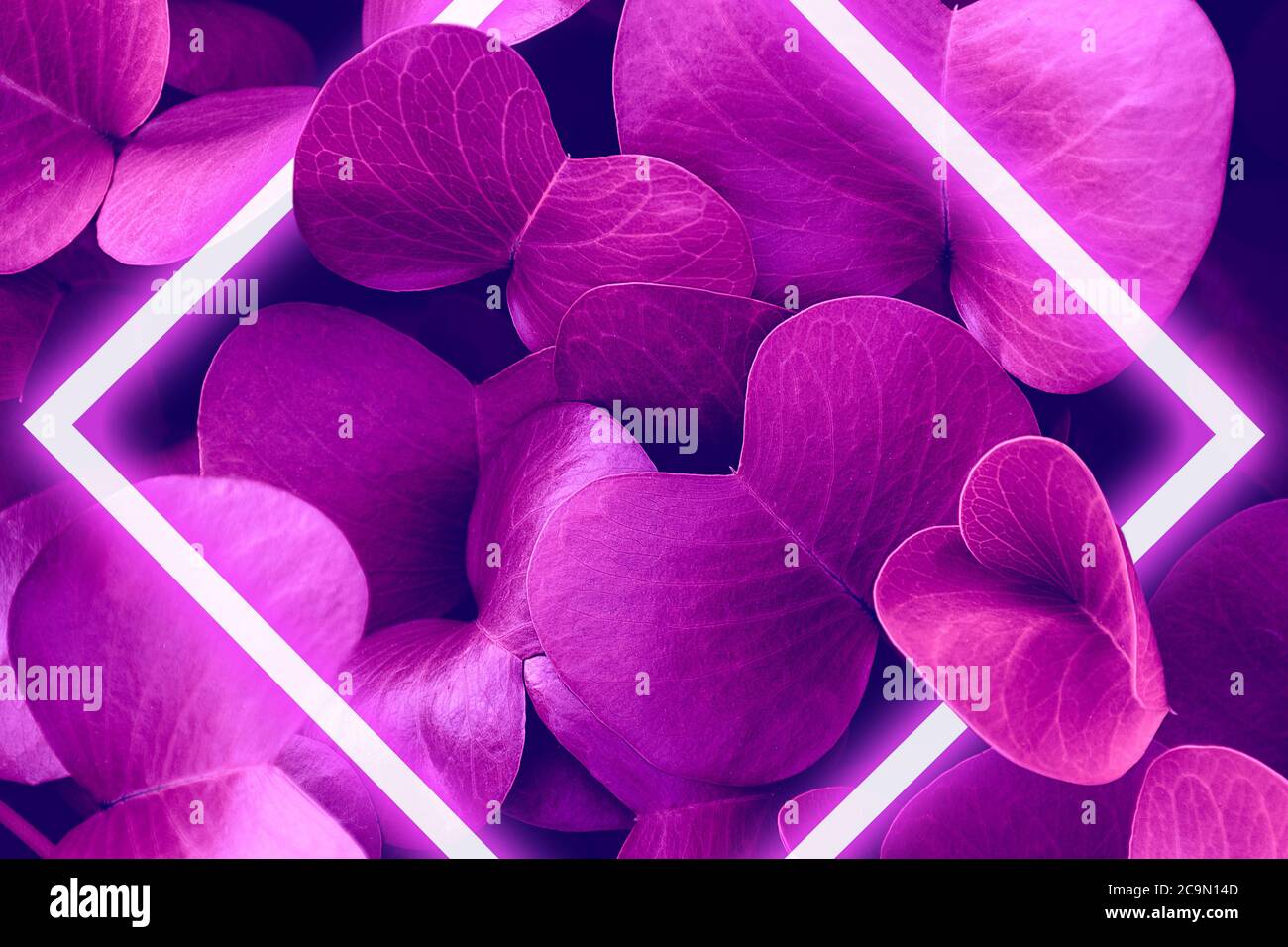 Neonblätter mit Cyber floralen Rahmen. Hell leuchtendes holographisches Vorlagenbanner. Stockfoto