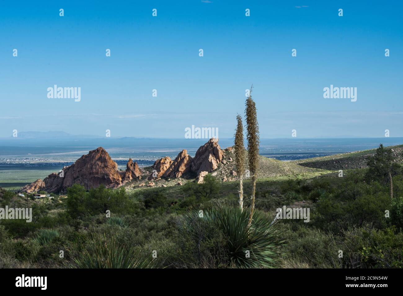 Dripping Springs Trail, Las Cruces NM, # 8349 Stockfoto