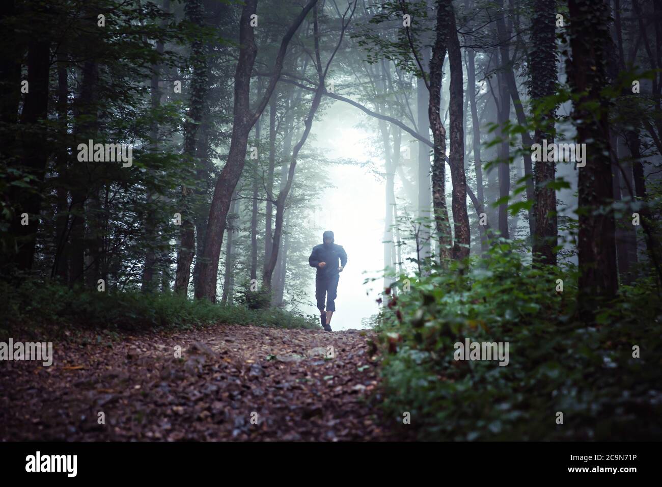 Neblige Waldlandschaft, mit männlichem Läufer, Trailrunning in der Ferne. Stockfoto