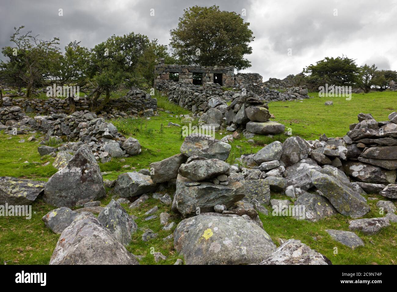 Dieses veröde Steinhaus im Snowdonia National Park, Nord Wales. Liegt in der Nähe des Dorfes Deiniolen. Stockfoto